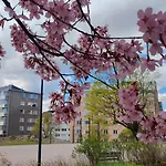 Apartment Private, Cozy, High Ceiling At The Heart Of Helsinki, Close To Nature & Sea, Amenities *